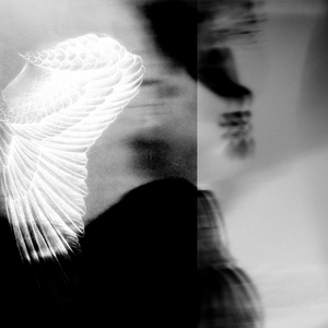 Птицы (Saint Rider Remix)