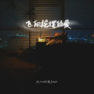 飞向摇摆的爱