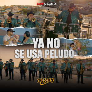 Ya No Se Usa Peludo