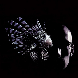 Misery (Lil' Louis Extended Club & Harmony Mix)