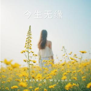 今生无缘 (Jīnshēng Wúyuán)