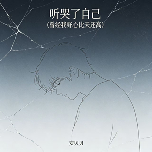 听哭了自己(曾经我野心比天还高)