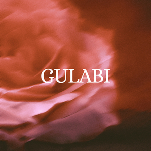 Gulabi