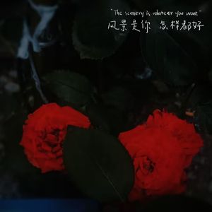 如果我把罗盘扔进海里我是否会迷失方向