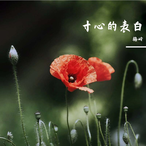 从军路