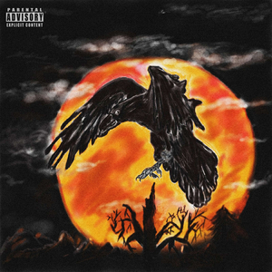 My Name Is Anelina (intro)