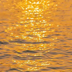 skeletons (Explicit)