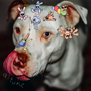 Pin Pon