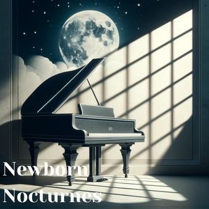 Nocturnes, No. 1 in B-Flat Minor, Op. 9 - Andante