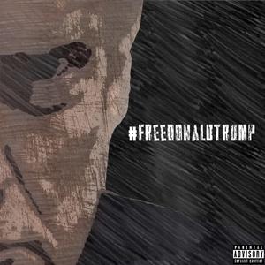 #FreeDonaldTrump