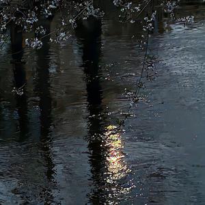 依赖你后（Prod By AZYAIRE)