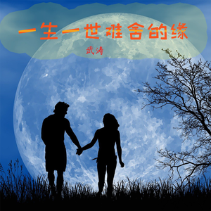 一生一世难舍的缘