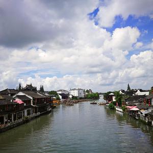 【FREE】走马观花