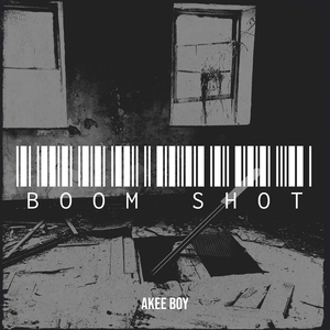 Boom Shot