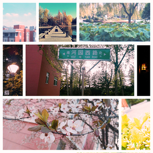 科学大道100号 伴奏