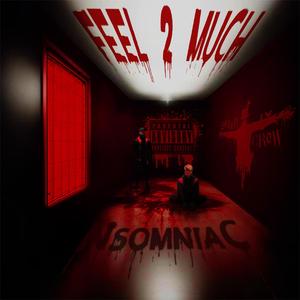 Feel 2 Much (feat. Zkeircrow)