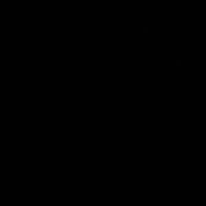 Schrummelsong