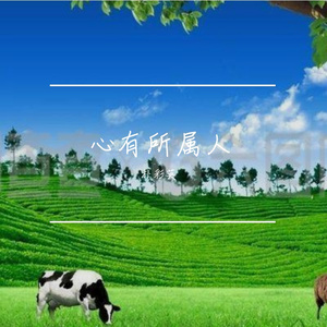 《阳光下的泡沫》