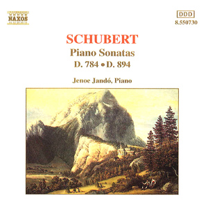 Piano Sonata No. 18 in G Major, Op. 78, D. 894:II. Andante