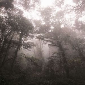 如果可以回到那个夏天修好那个我们断掉的磁带prod.LusciousBB