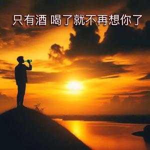 只有酒 喝了就不再想你了