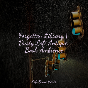 Pulse of the Concrete Jungle