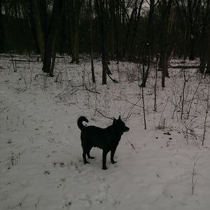 Thinking Without Love, Pt. 2