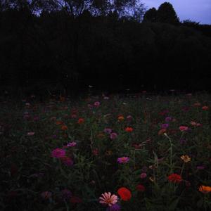 지옥 같은 천국