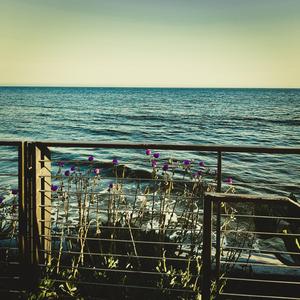 Elevator Pitch (Slowed + Reverb)