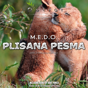 Plisana Pesma (Bart Panco Remix)
