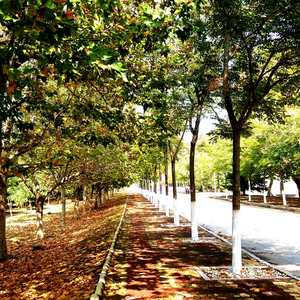 那年启程的夏天