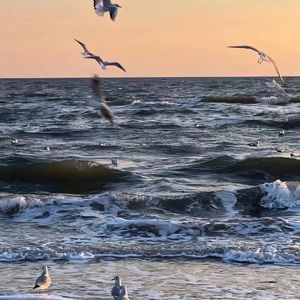 谁(Live)_陈蛋蛋_音频编辑