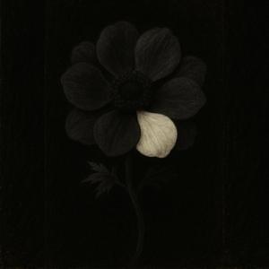 왜곡된 사랑의 자백