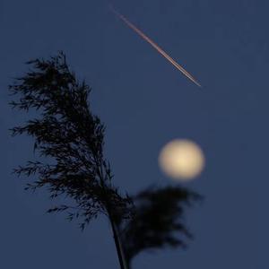 父亲写的的散文詩 （吉他弹唱版）（翻自 许飞）