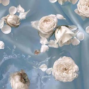 我在人民广场吃炸鸡（翻自 赵大格）