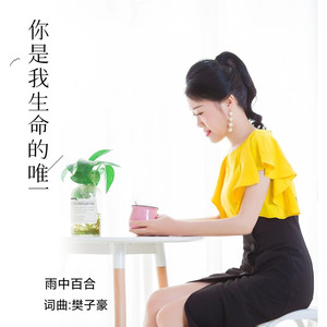 你是我生命的唯一 (DJ默涵版)