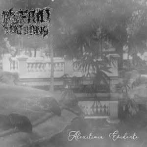 Preocupação Excessiva