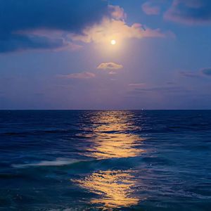 达尔文（女声片段）