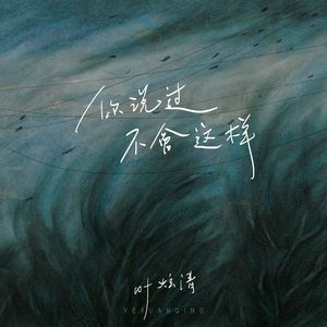 你说过不会这样