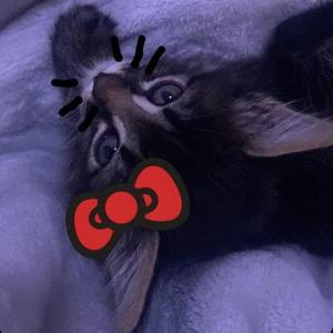 To jest ok! (feat. Cymer & Szyna)