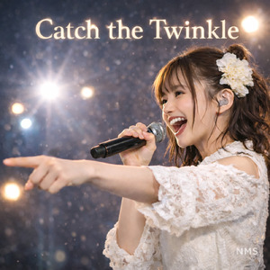 Catch the Twinkle
