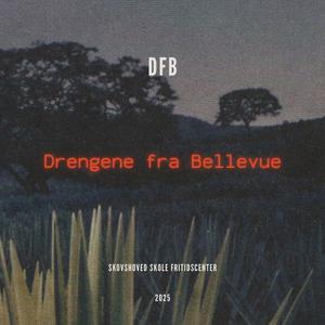 Drengene fra Bellevue (DFB)