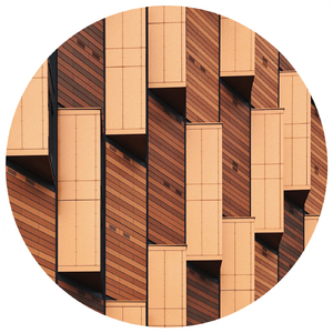 Shot Into Orbit (Original Mix)