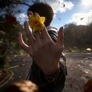 重逢时爱如潮涌