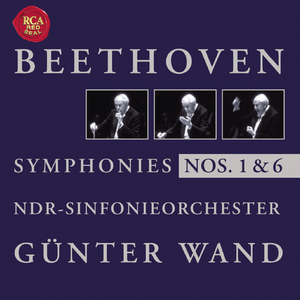 Symphony No. 1 in C major, Op. 21: II. Andante cantabile con moto