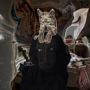 Gooncave Ricecooker (in the Approx. -450ft Ambience)