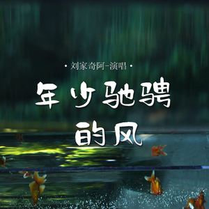 年少驰骋的风