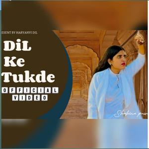 Dil ke tukde