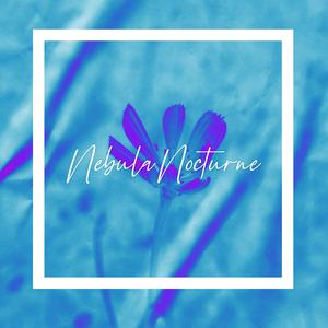 Nebula Nocturne