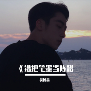 错把笔墨当陈醋